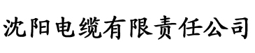 亚洲欧洲在线一区二区三区电缆厂logo